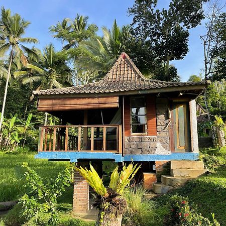 Villa Oemah Tepi Sawah à Jatiluwih Extérieur photo