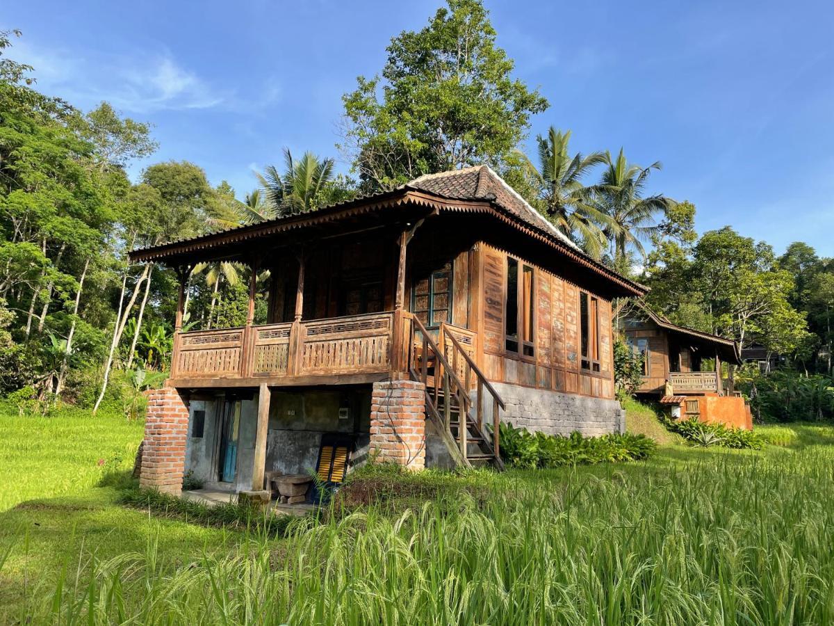Villa Oemah Tepi Sawah à Jatiluwih Extérieur photo