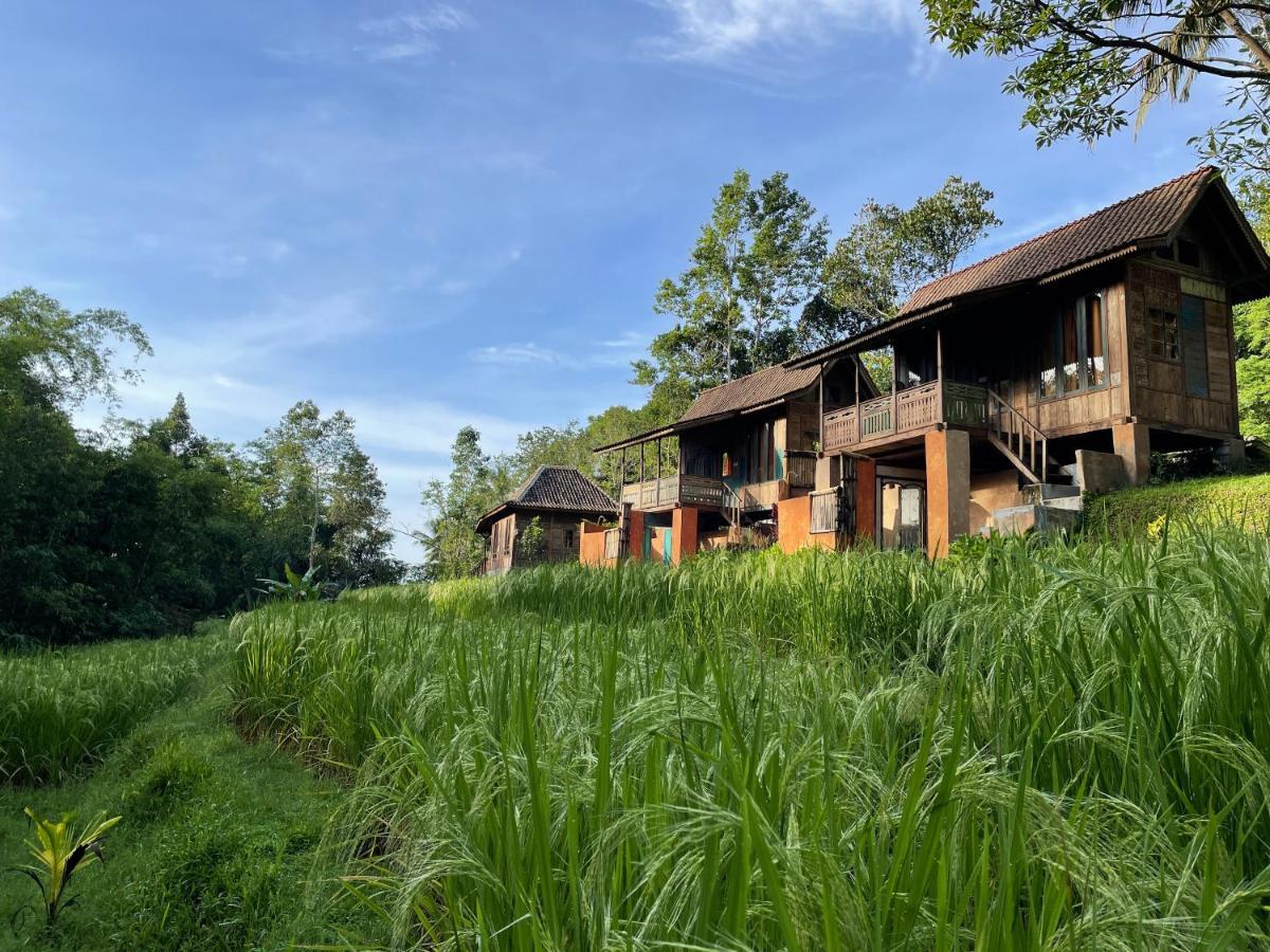 Villa Oemah Tepi Sawah à Jatiluwih Extérieur photo