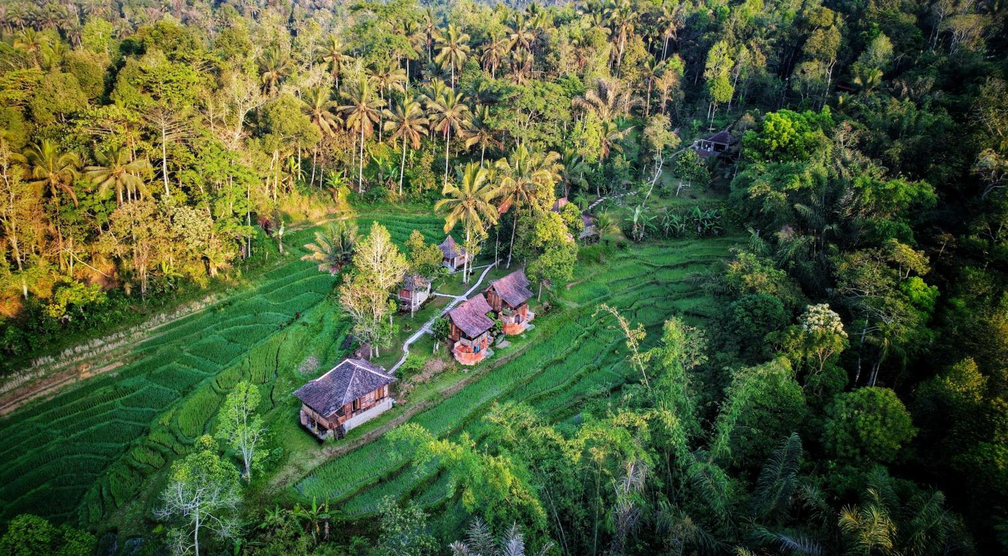 Villa Oemah Tepi Sawah à Jatiluwih Extérieur photo