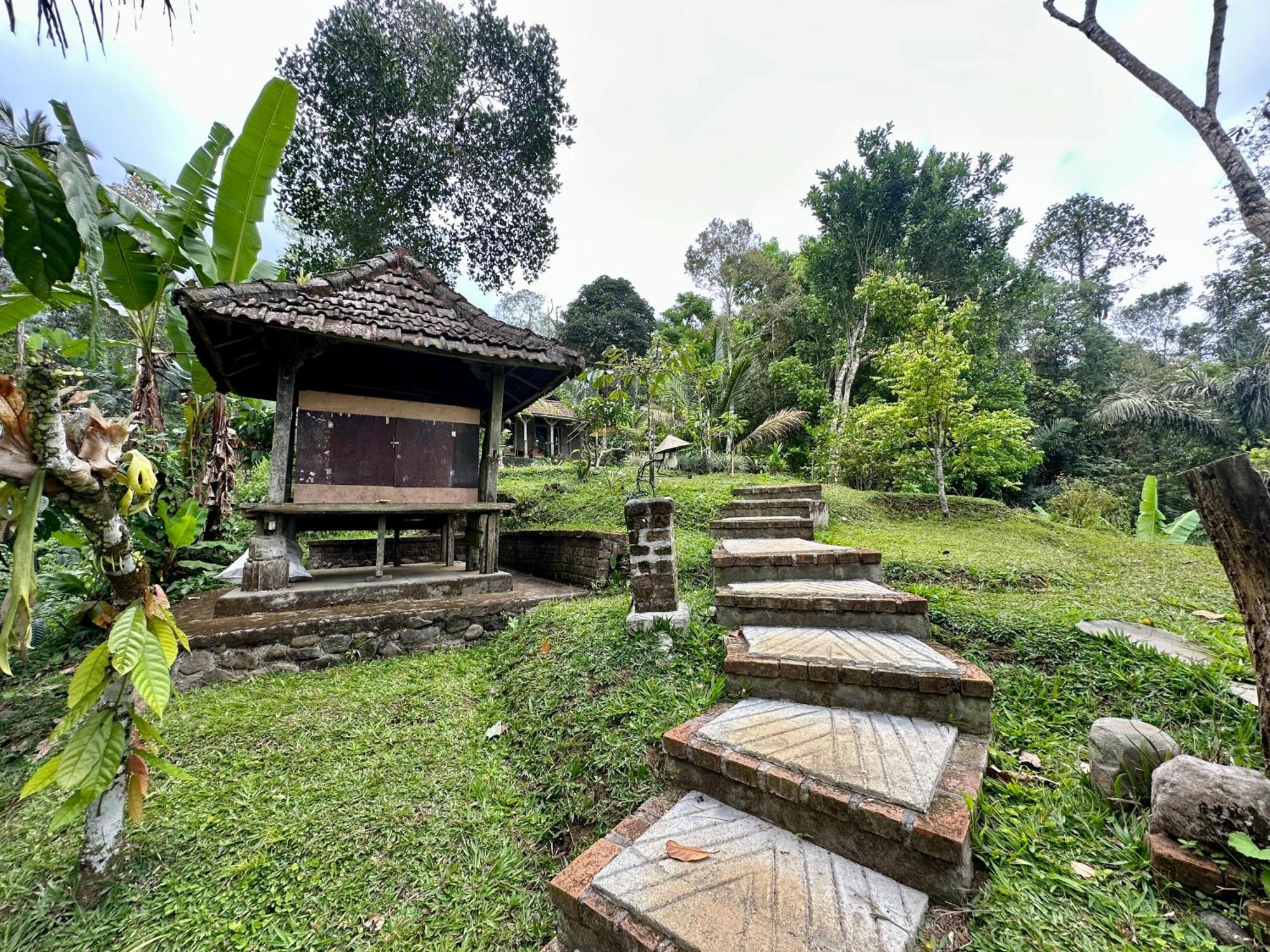 Villa Oemah Tepi Sawah à Jatiluwih Extérieur photo