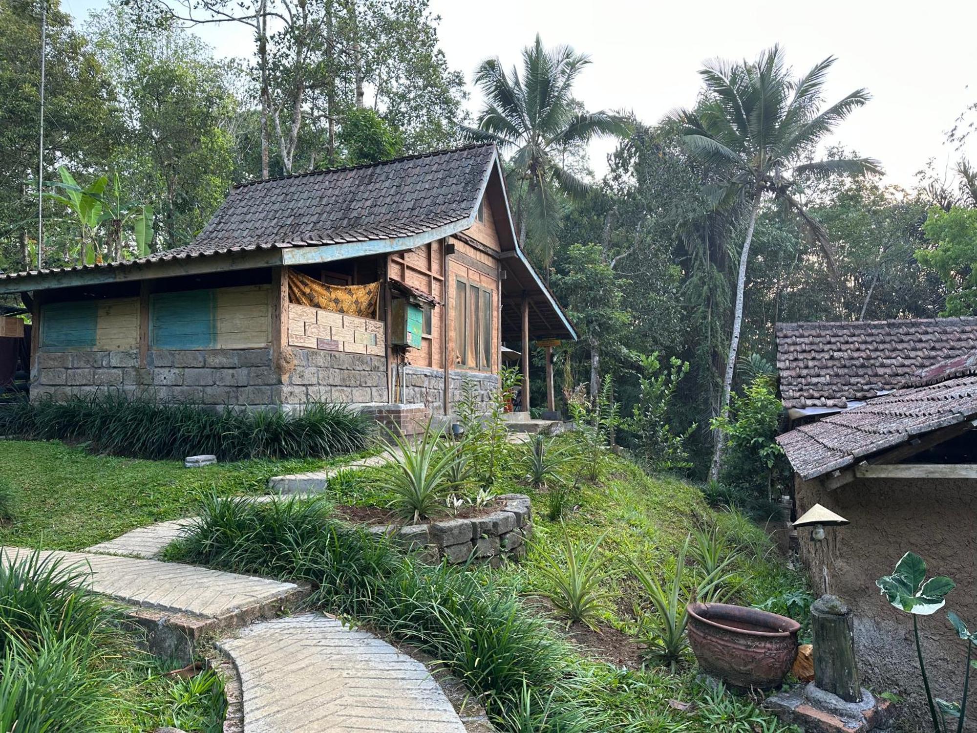 Villa Oemah Tepi Sawah à Jatiluwih Extérieur photo