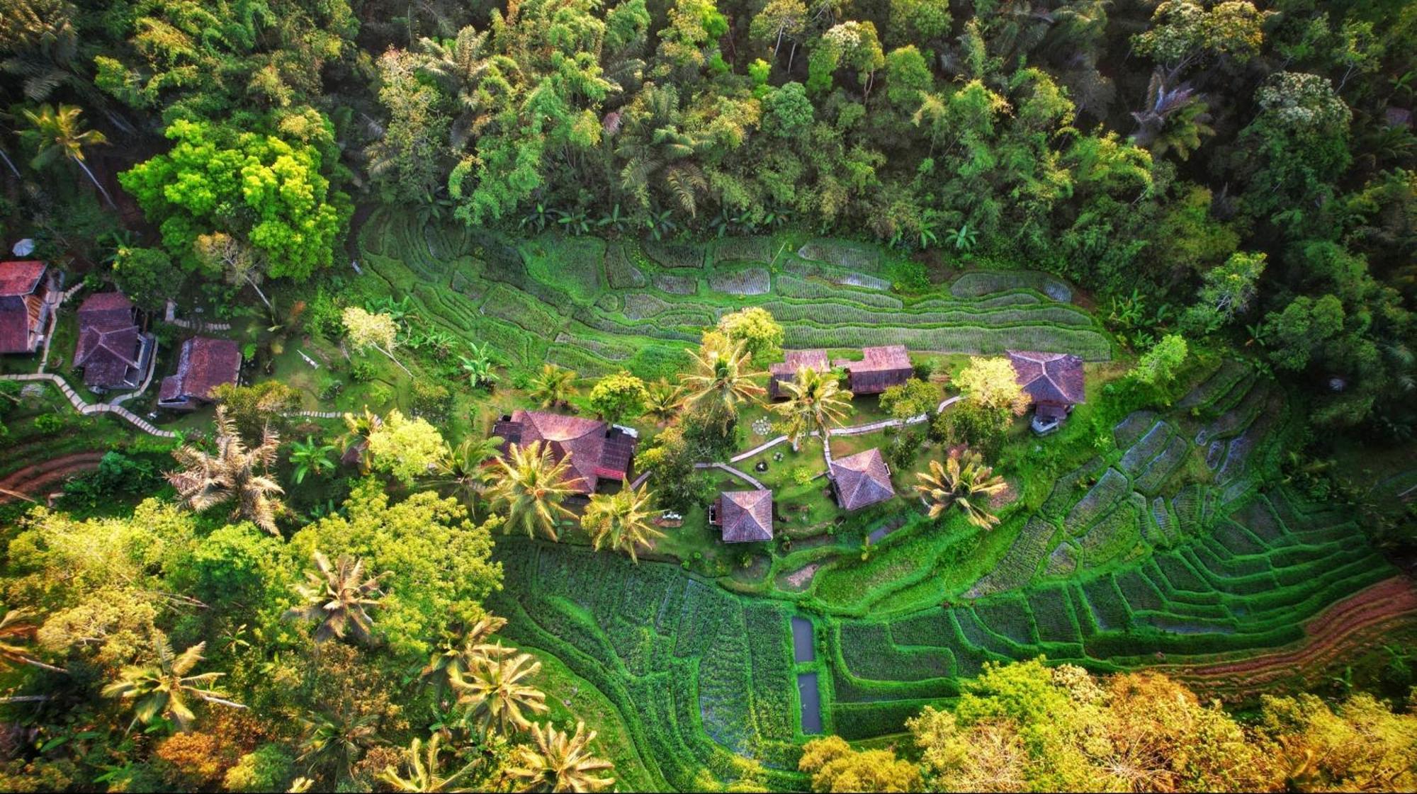 Villa Oemah Tepi Sawah à Jatiluwih Extérieur photo