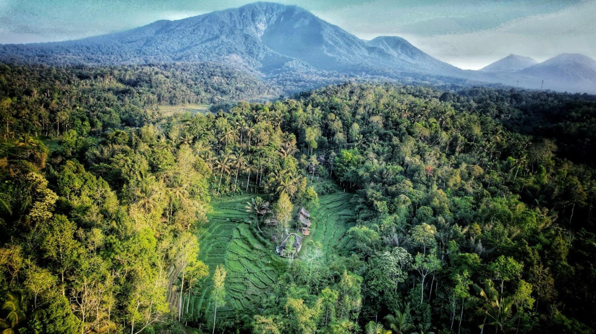 Villa Oemah Tepi Sawah à Jatiluwih Extérieur photo