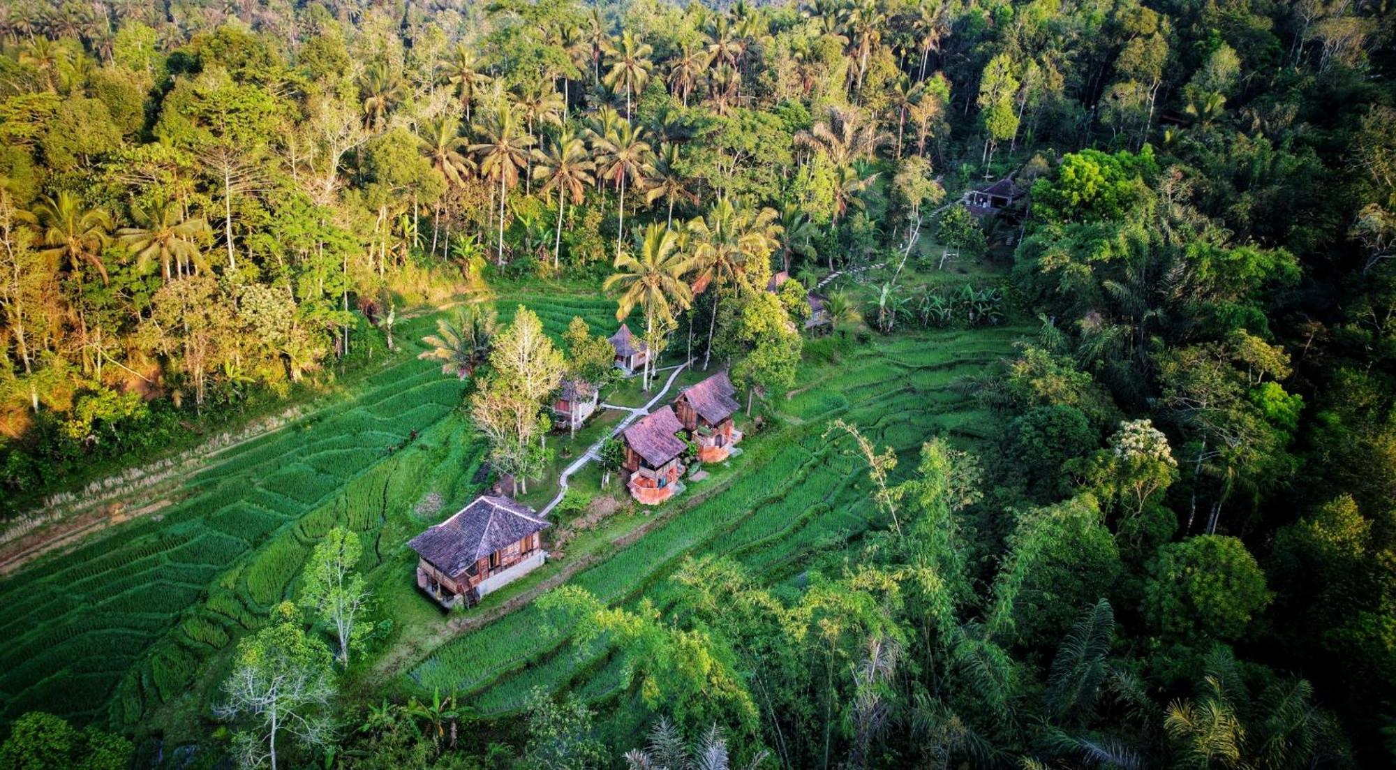 Villa Oemah Tepi Sawah à Jatiluwih Extérieur photo