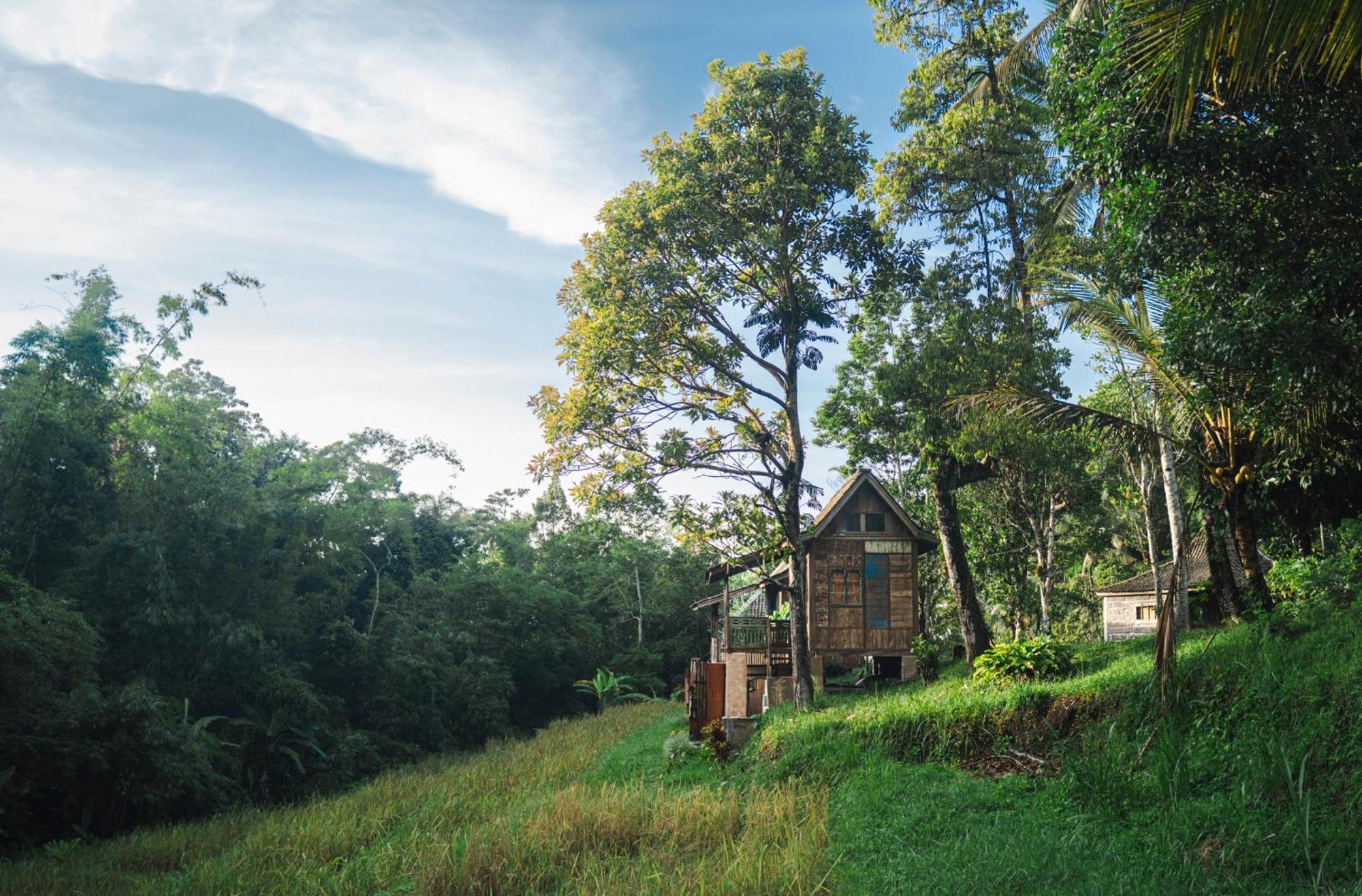 Villa Oemah Tepi Sawah à Jatiluwih Extérieur photo