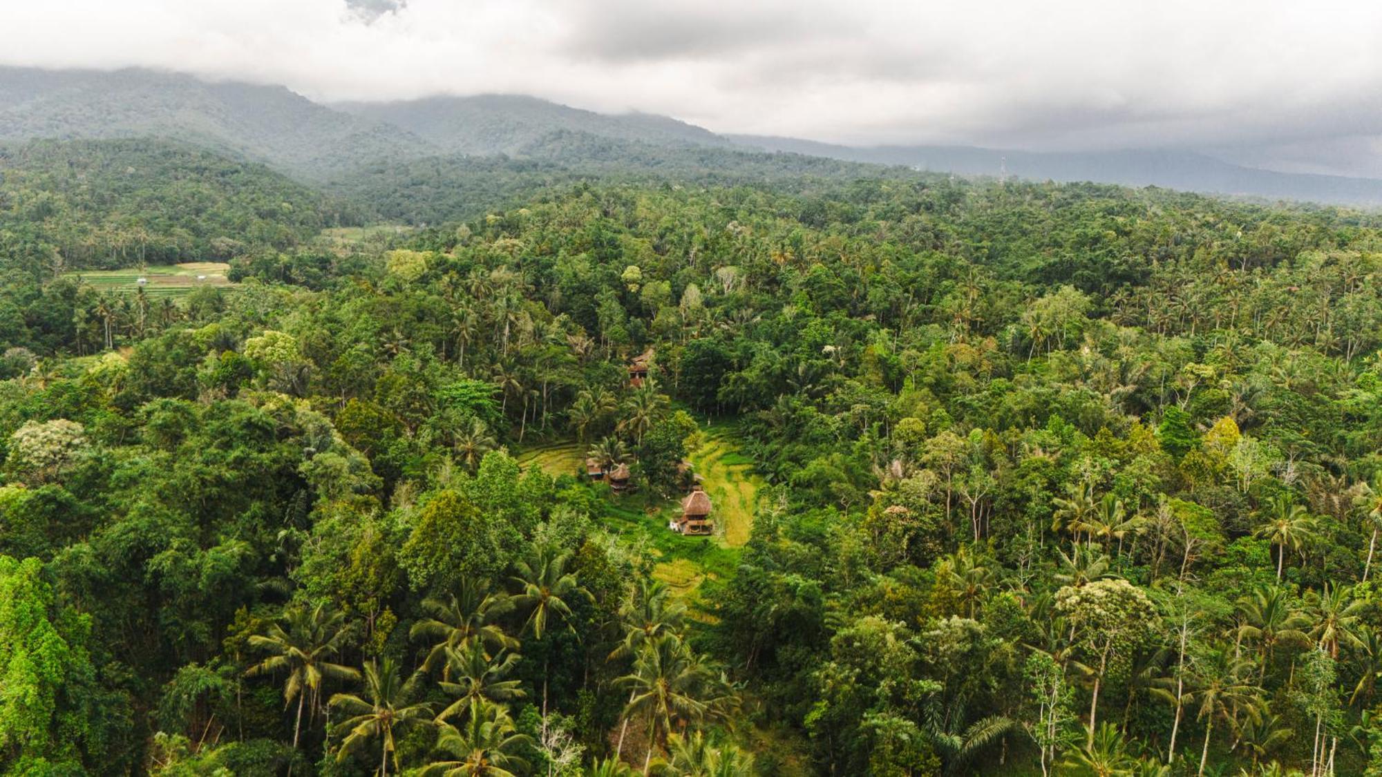Villa Oemah Tepi Sawah à Jatiluwih Extérieur photo