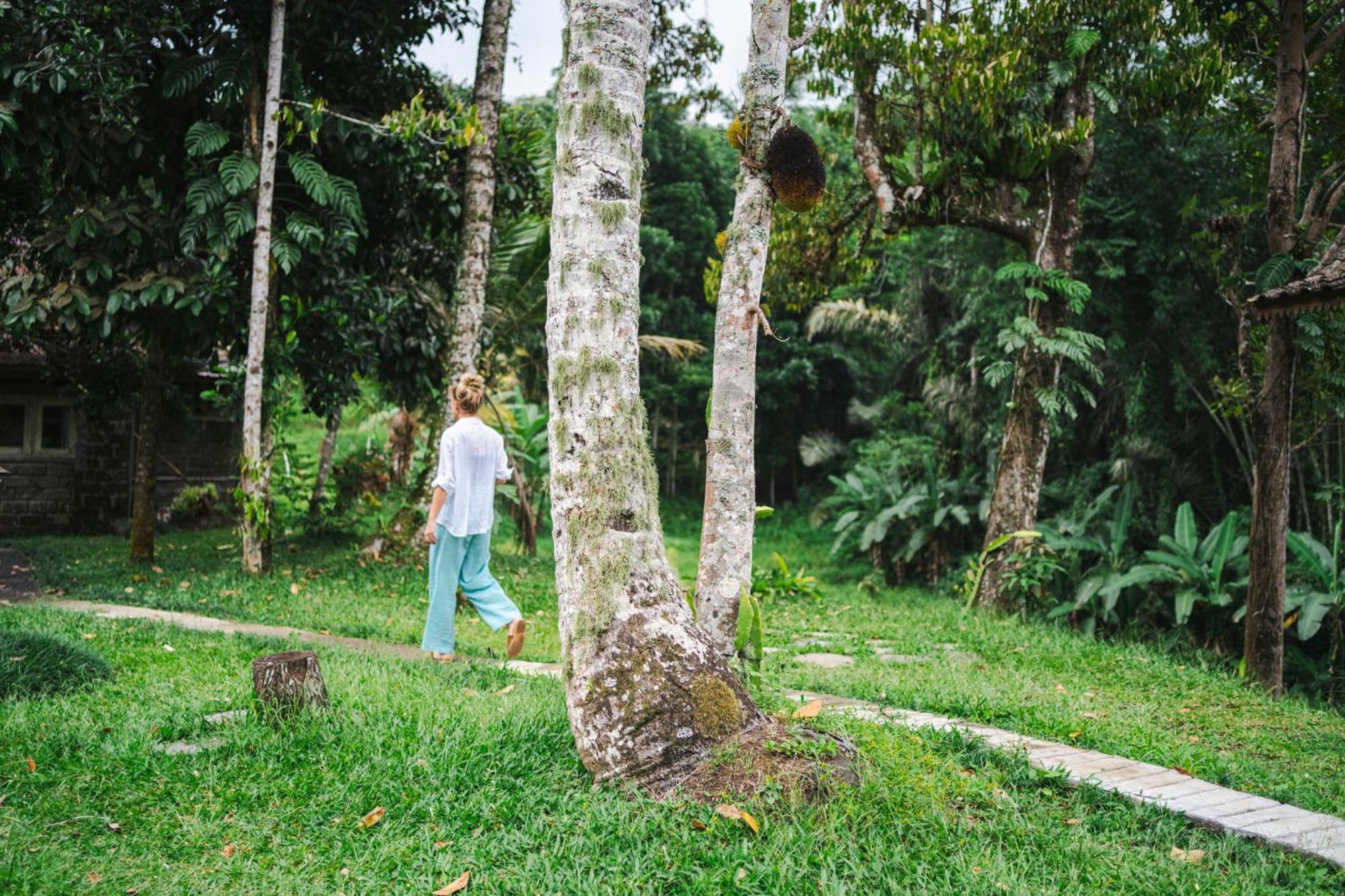Villa Oemah Tepi Sawah à Jatiluwih Extérieur photo